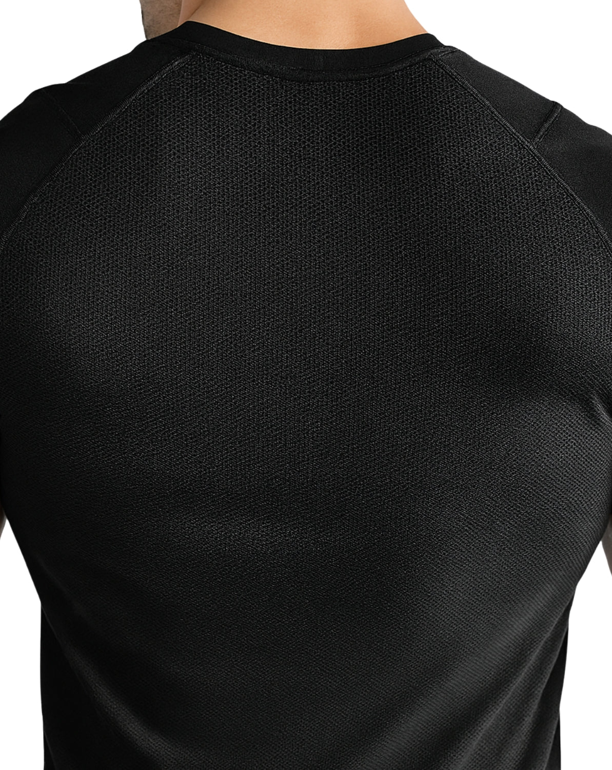 boncellensis secullant boncellensis secullant